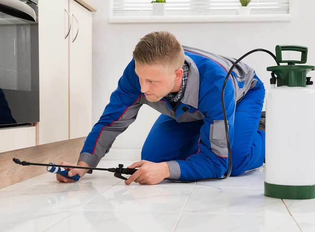 pest control technician salary