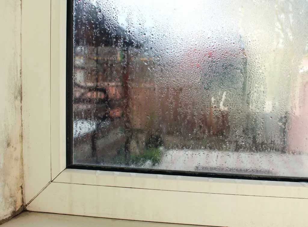 Why do you get condensation on the windows in the morning?