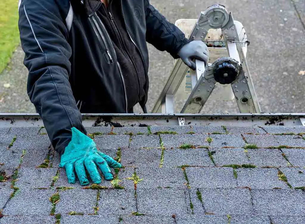 tradesperson cleaning a roof