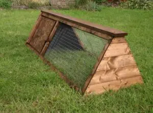 How to build a guinea pig run in 6 easy steps