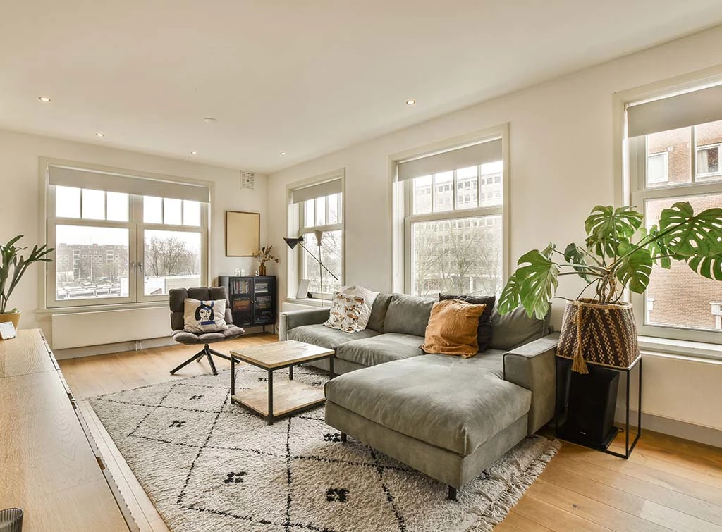 define zones with a rug in a neutral living room