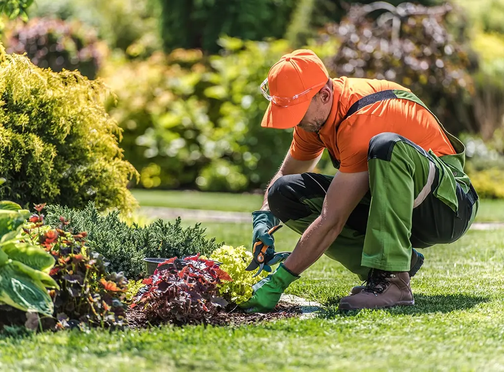 https://www.checkatrade.com/blog/wp-content/uploads/2023/09/gardener-trimming-plants.jpg