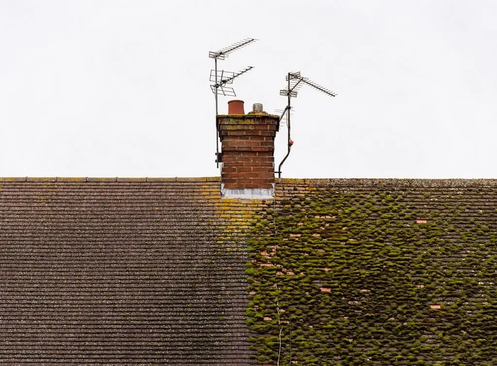 https://www.checkatrade.com/blog/wp-content/uploads/2024/12/clean-vs-dirty-roof.jpeg