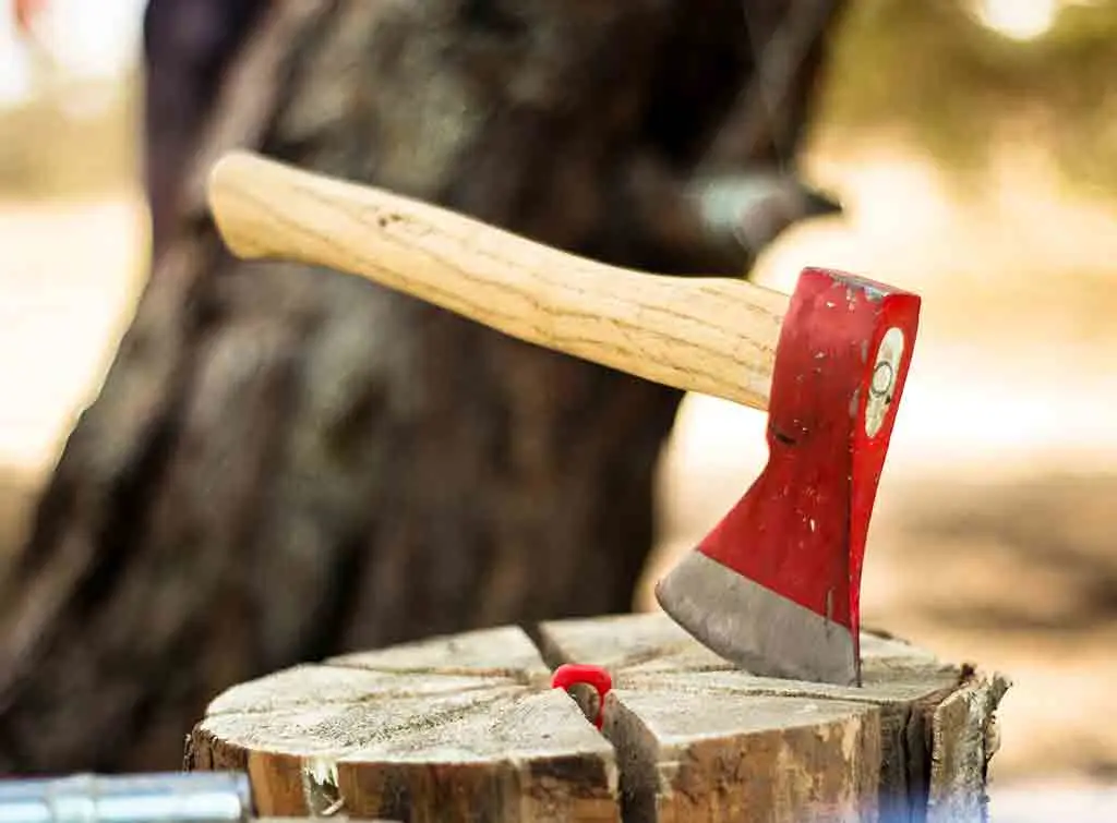 Axe for tree stump removal