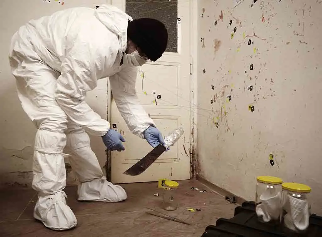 cost of crime scene clean up