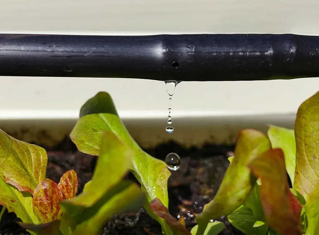 Drip irrigation system