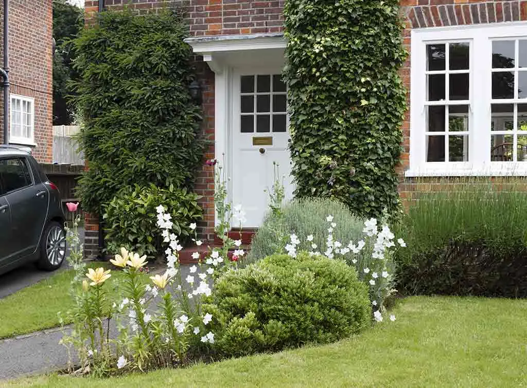 A curved lawn can soften the harder landscaping materials of a driveway