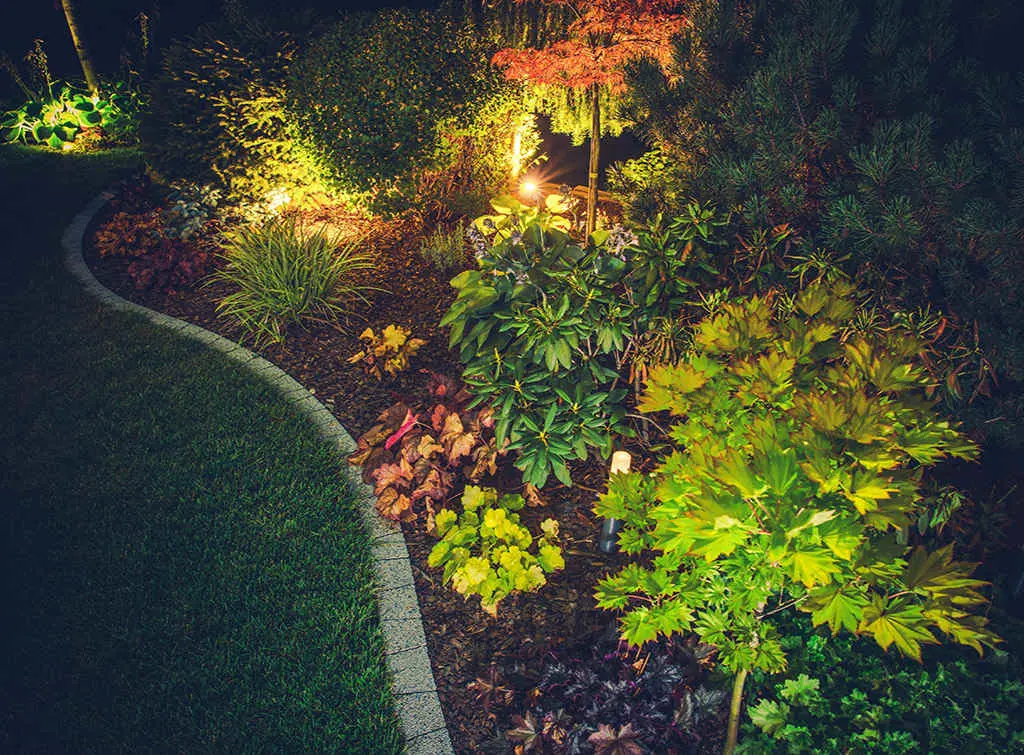 https://www.checkatrade.com/blog/wp-content/uploads/2020/07/mood-lighting-garden-border.jpg