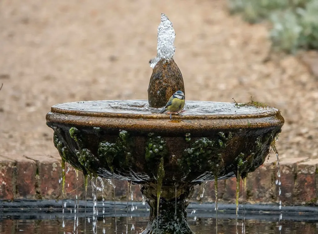 Stone plinth water fountain