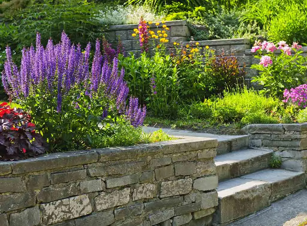 Designer step ideas and plants