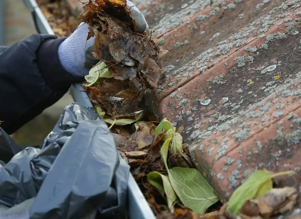 Emptying out guttering