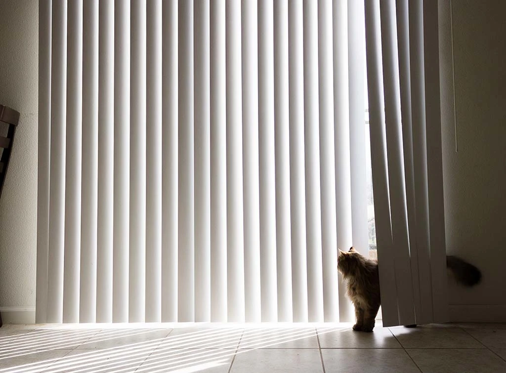 How to clean vertical blinds: The ultimate guide