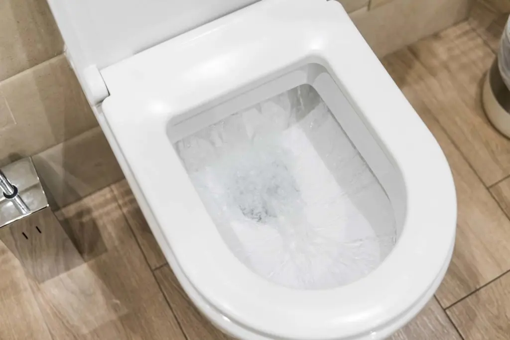 Toilet flushing