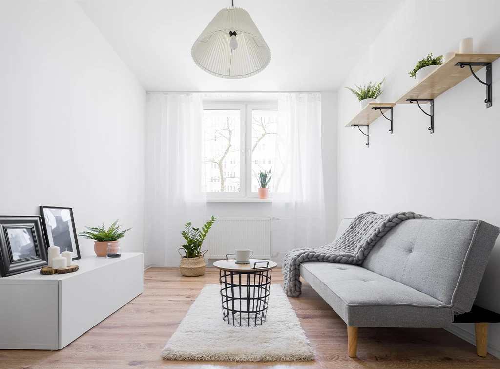 Natural living room ideas with plants and light