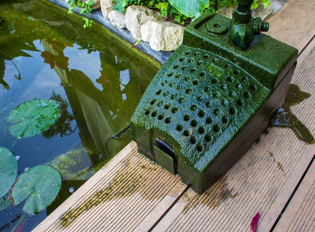 How do you maintain a garden pond