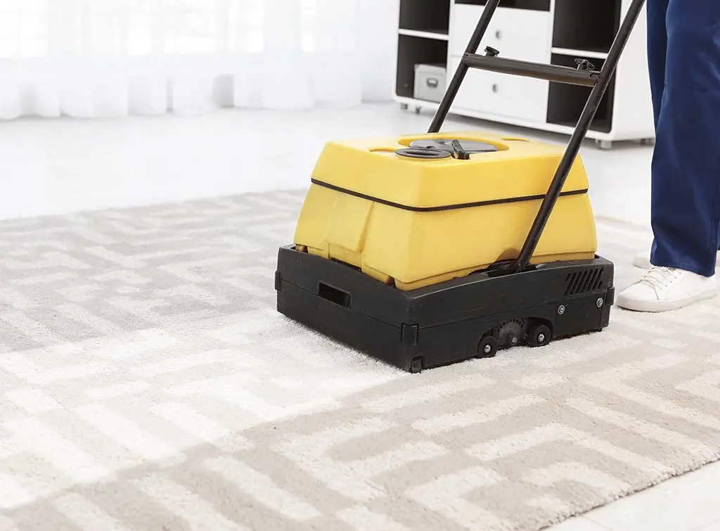carpet cleaning experts