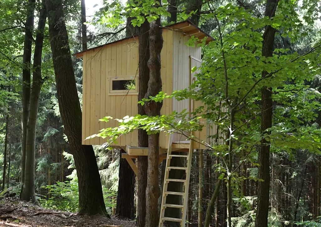 Treehouse crafted by carpenter