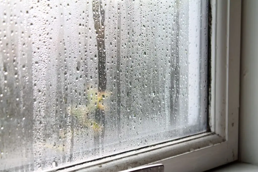 https://www.checkatrade.com/blog/wp-content/uploads/2024/11/how-to-deal-with-condensation-1024x683.jpeg