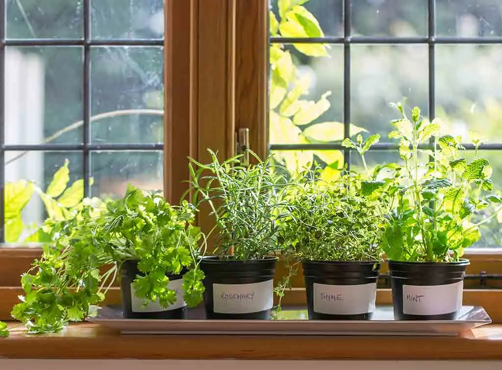 Rustic kitchen ideas indoor herb garden