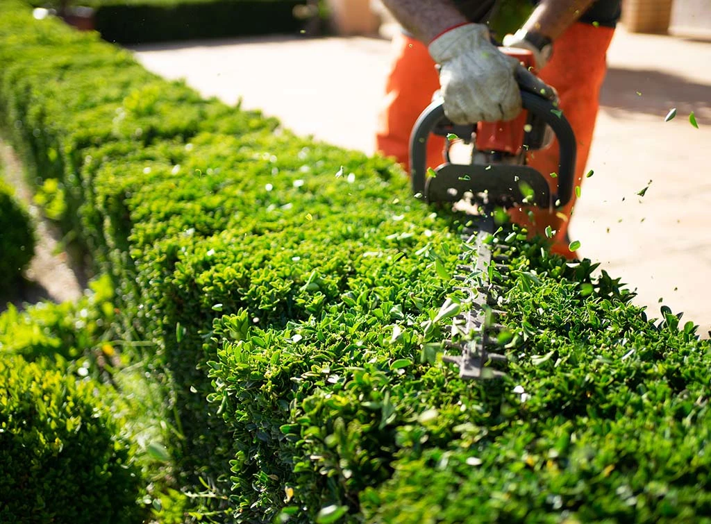 https://www.checkatrade.com/blog/wp-content/uploads/2024/02/trade-Landscaping-leads-Image-3.jpg