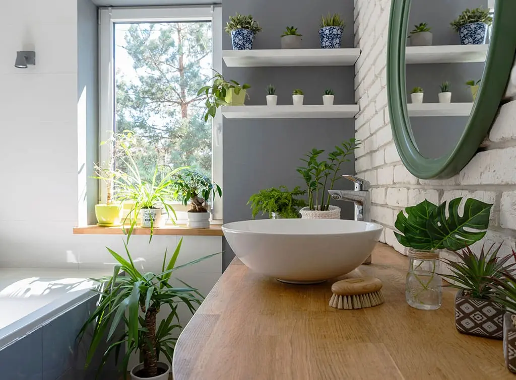 https://www.checkatrade.com/blog/wp-content/uploads/2023/11/bathroom-windows-plants.jpg