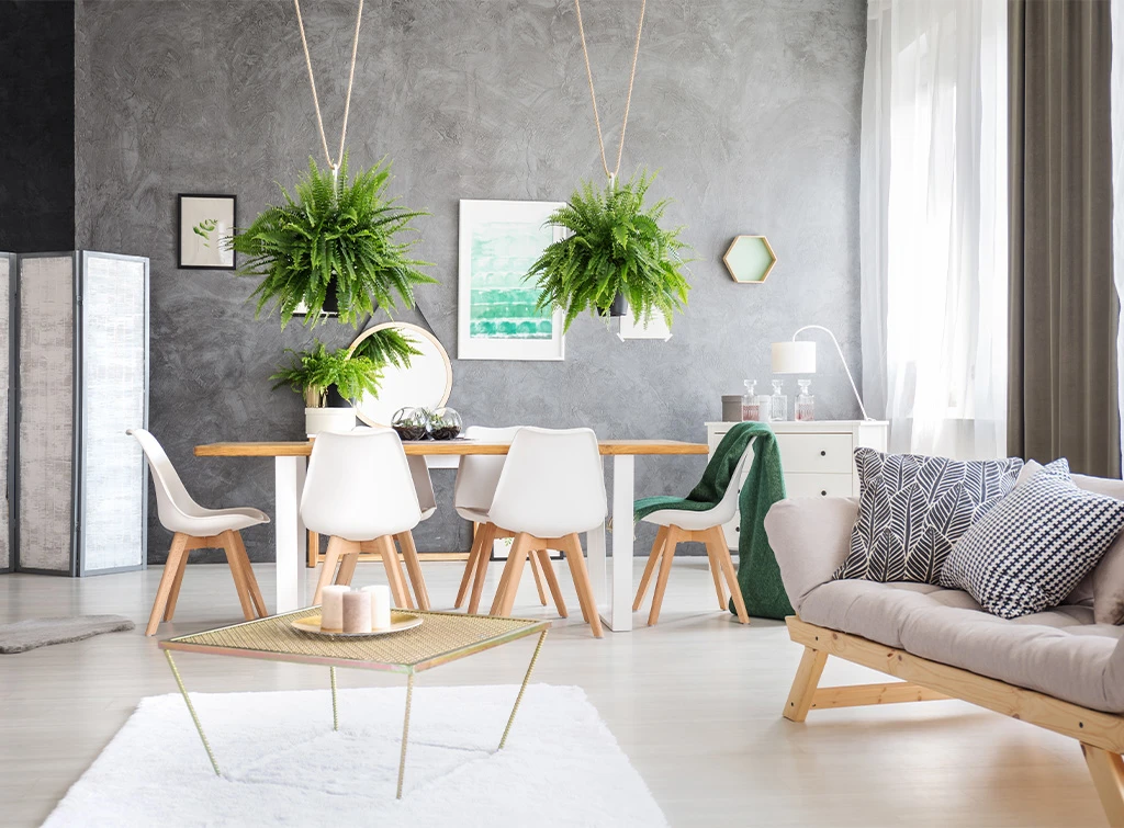 white living room ideas