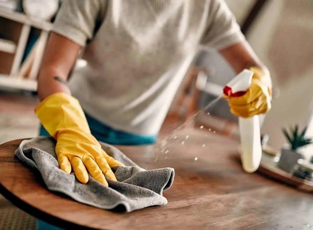 https://www.checkatrade.com/blog/wp-content/uploads/2024/09/how-to-become-a-cleaner-1024x754.jpeg