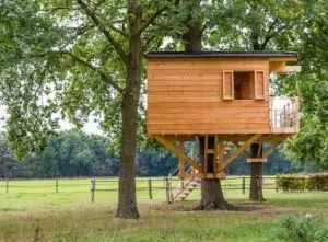 Treehouse cost
