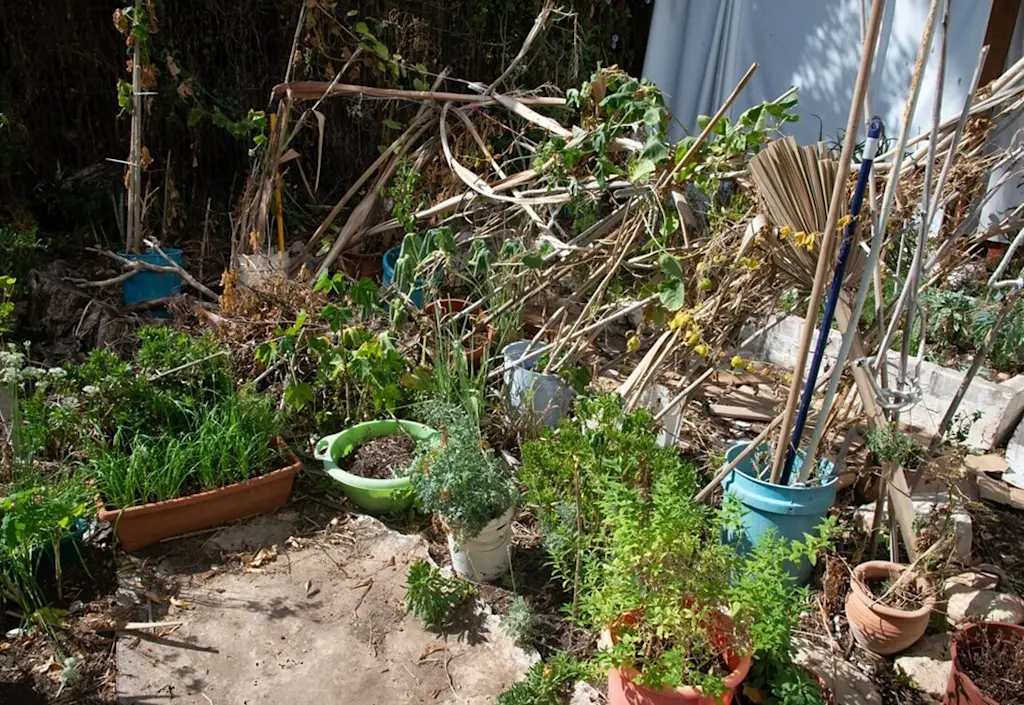 Garden waste needs clearing
