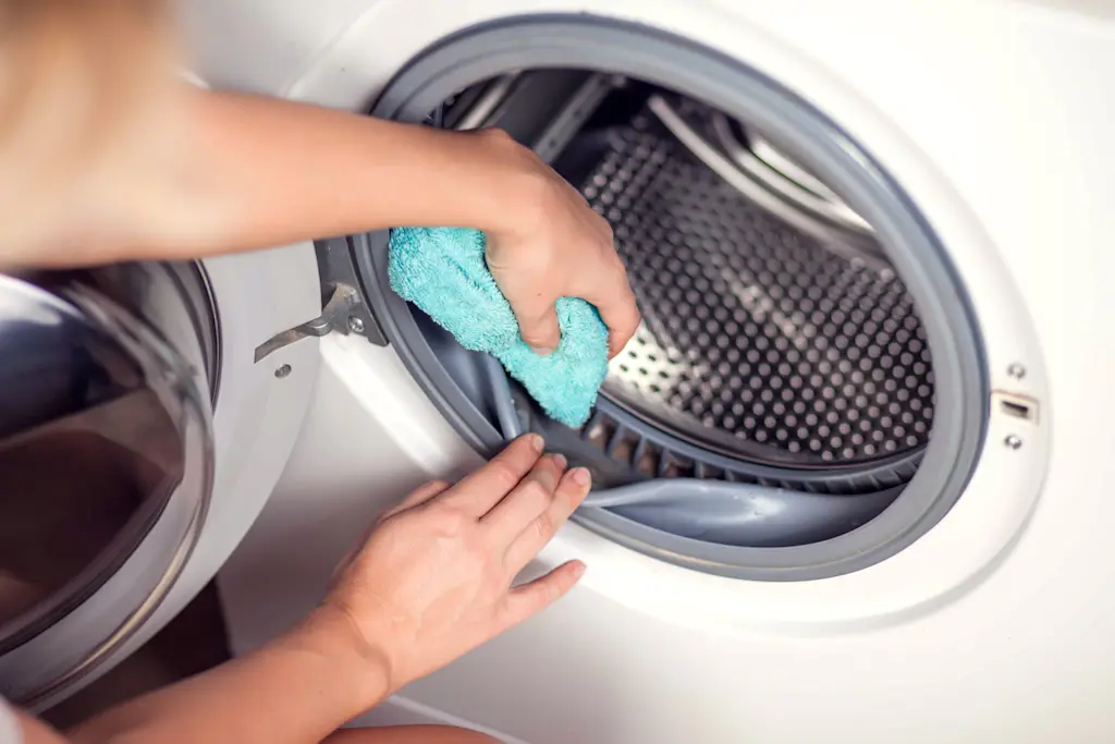 How to clean a washing machine with vinegar