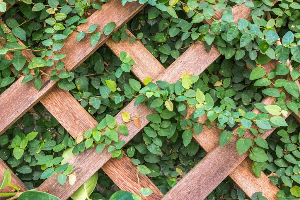 screens for gardens
