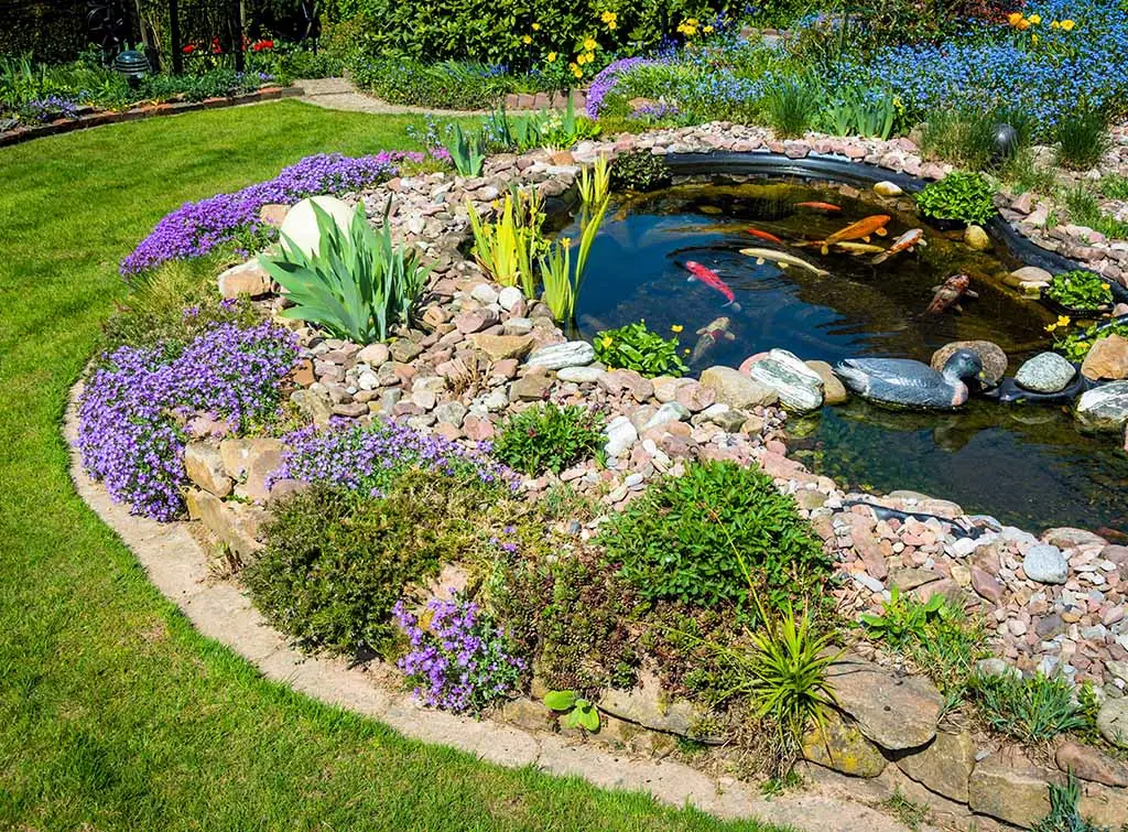 Garden pond