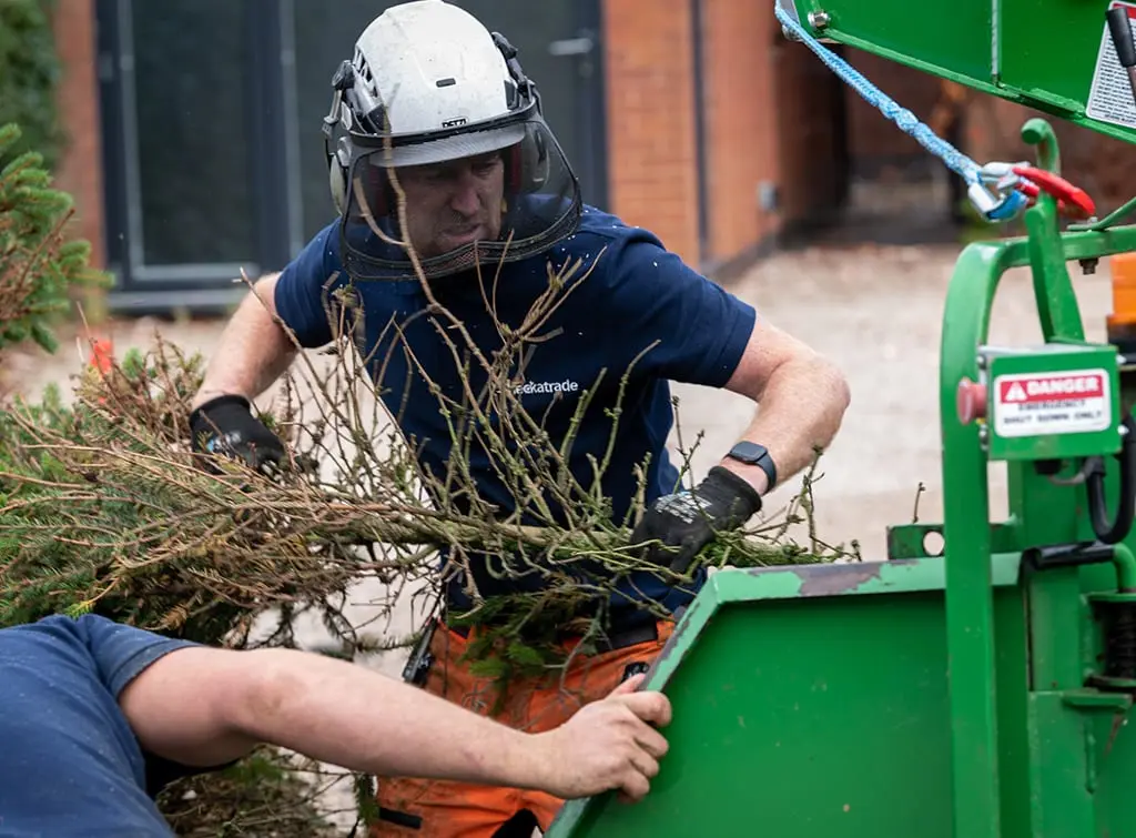 https://www.checkatrade.com/blog/wp-content/uploads/2019/07/how-to-become-a-tree-surgeon.jpg