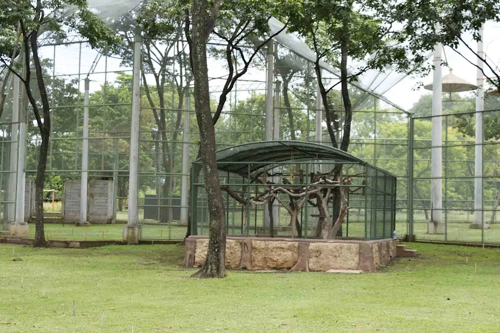 aviary