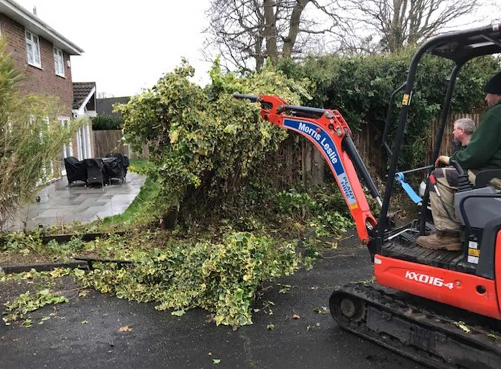 Image credit: Tony Hardy, [Green Garden Services](https://www