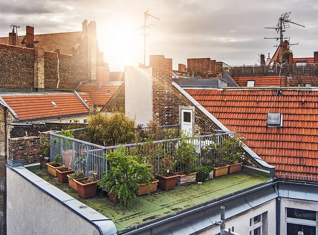 flat roof ideas