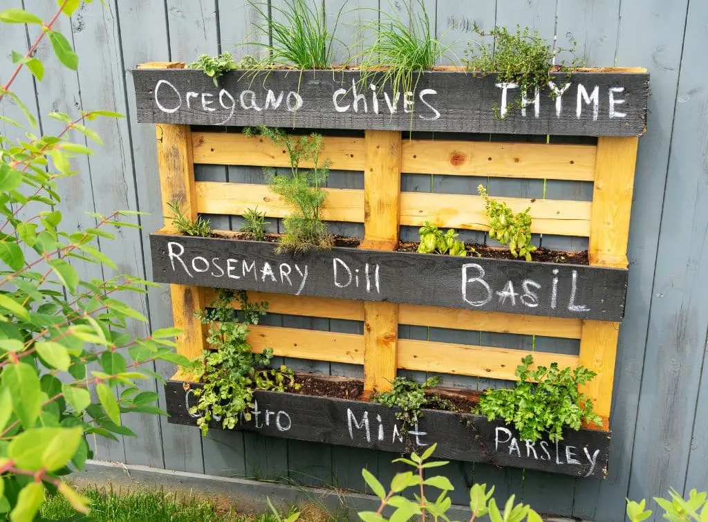 Herb garden made out of pallets