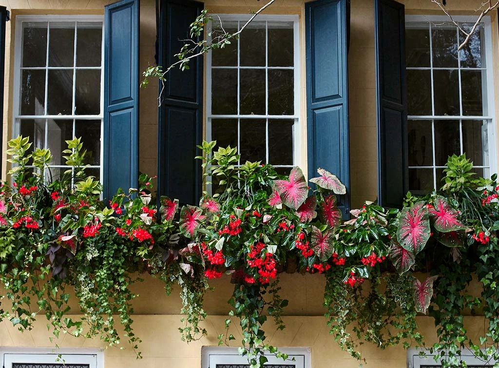 foliage window box
