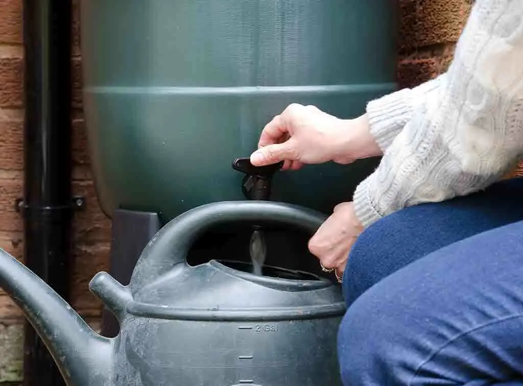 Conserving water via a water butt