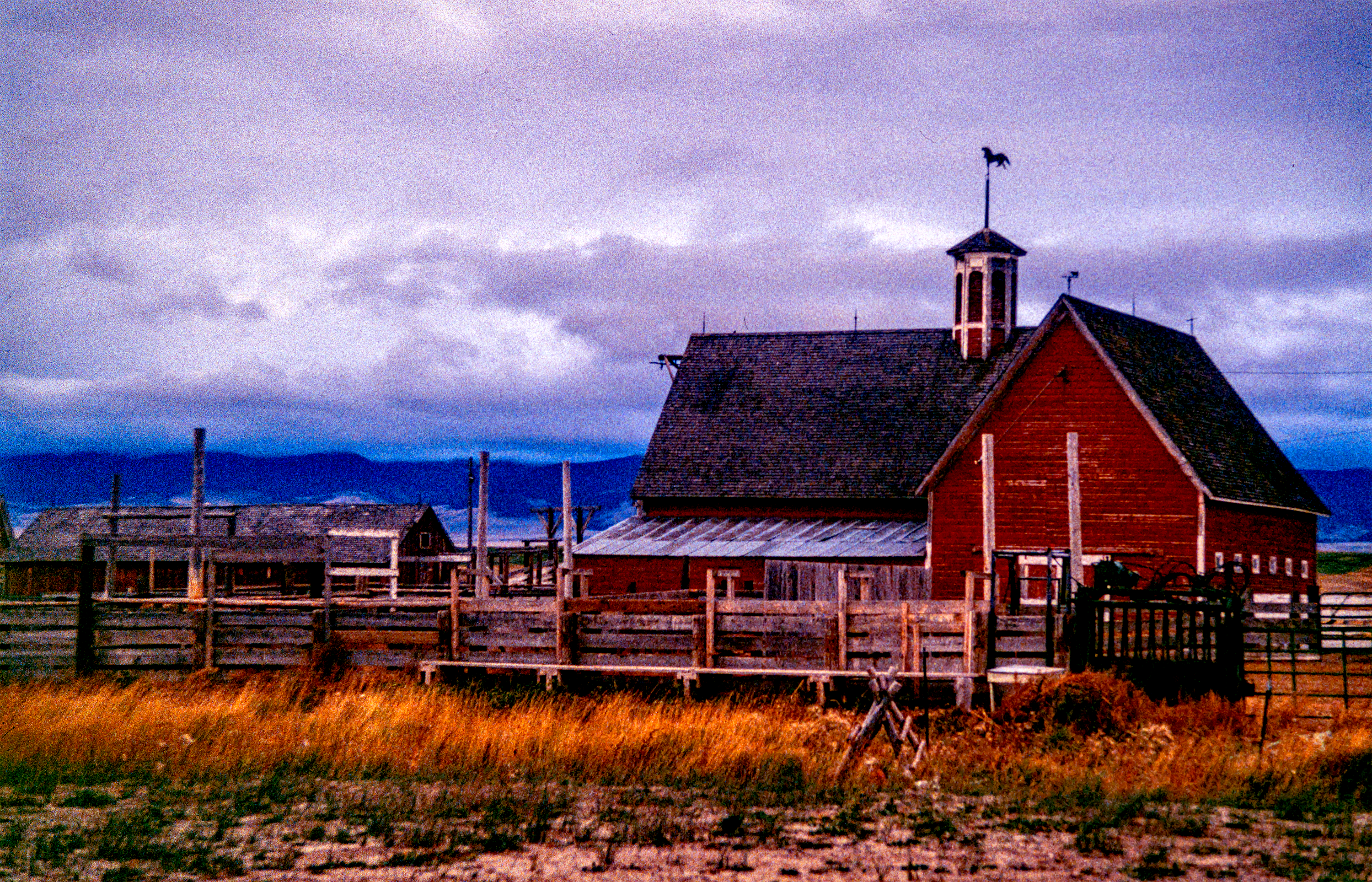 Montana Trout Club '94