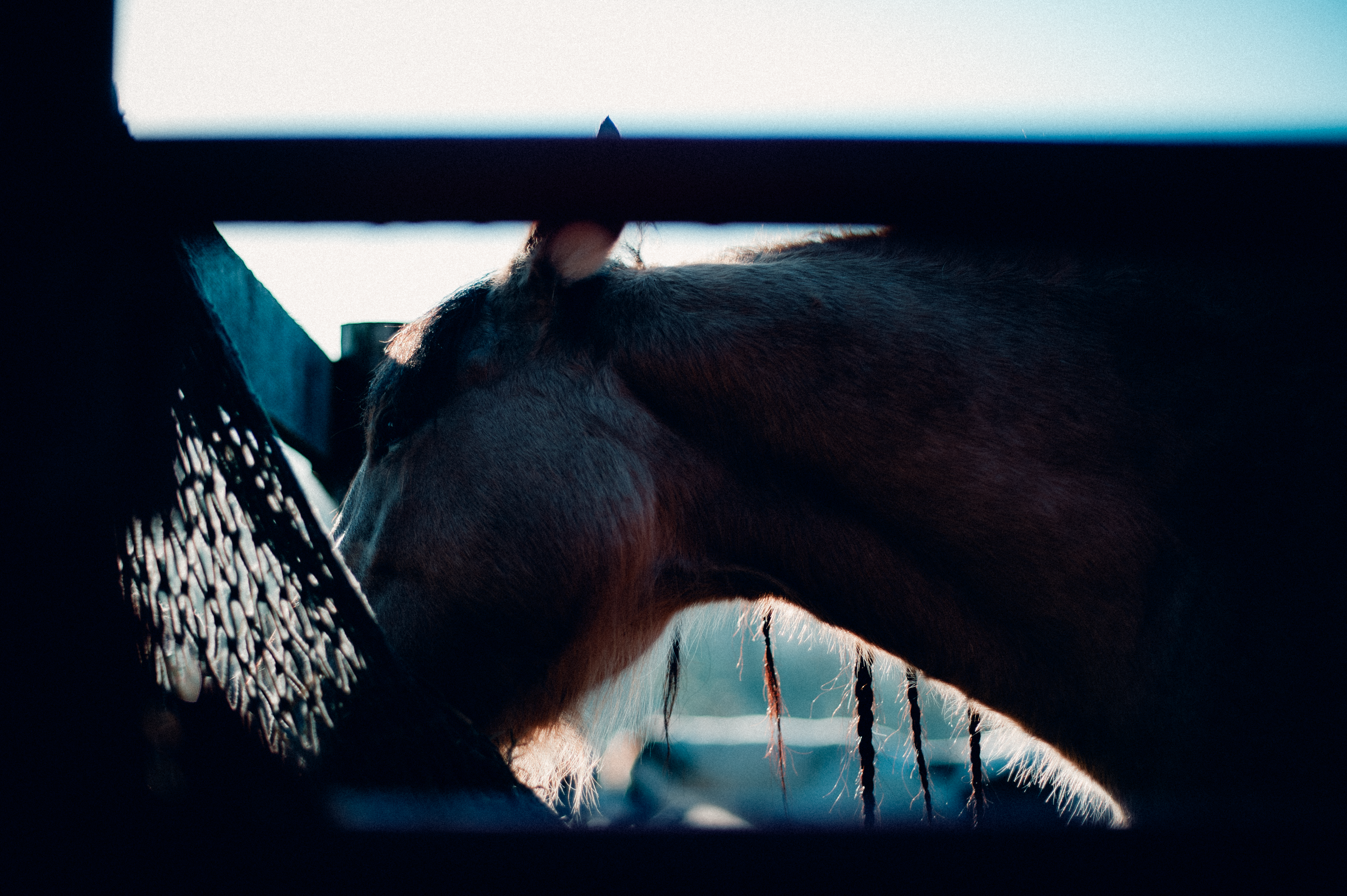 It is so stimulating finding absolutely beauty in the mundane.
