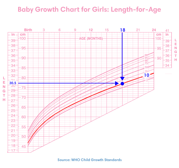 Growth Chart Height Growth Chart to Measure Baby Child