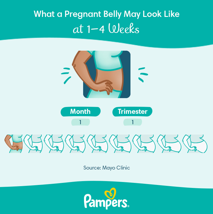 early pregnancy symptoms timeline