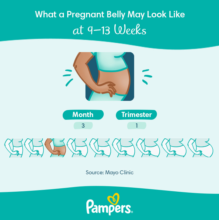 10 Pregnant: and Baby Development |