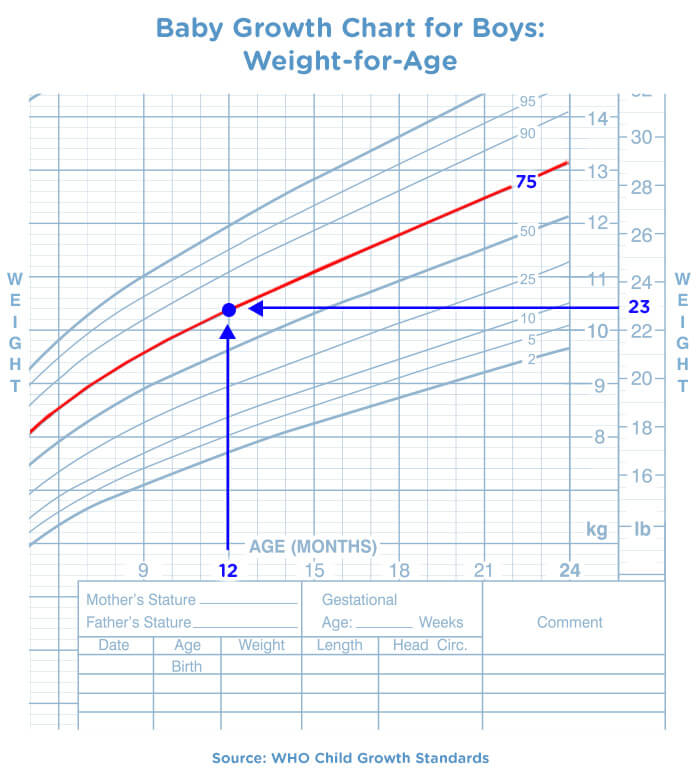 Baby Growth Chart: The First 24 Months 