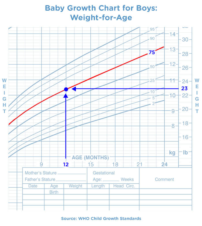 average size of 6 month old boy