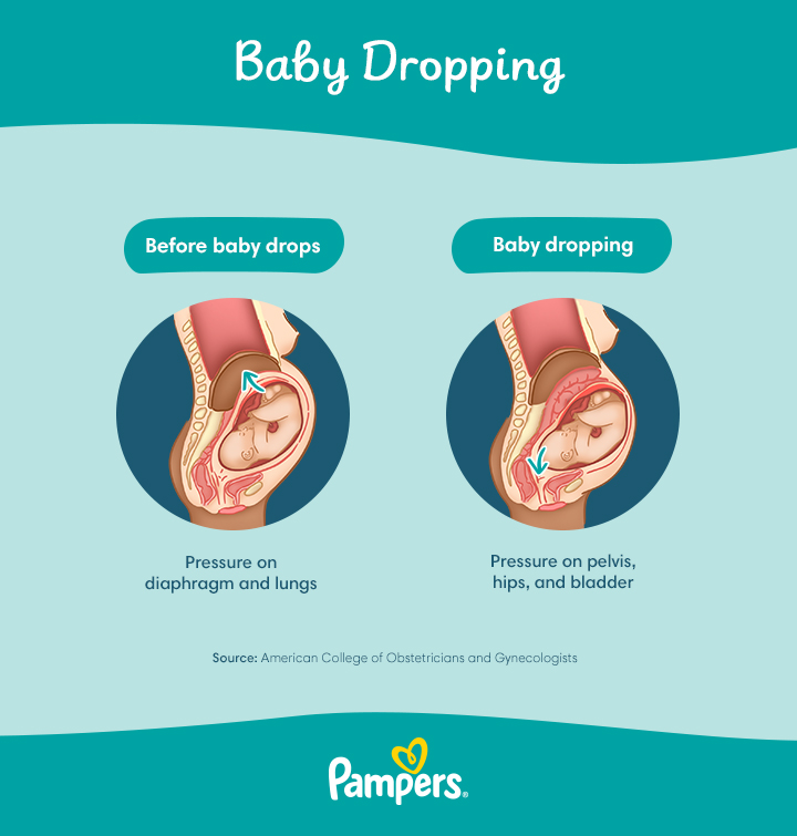 When Does Your Baby Drop and What Are the Signs?