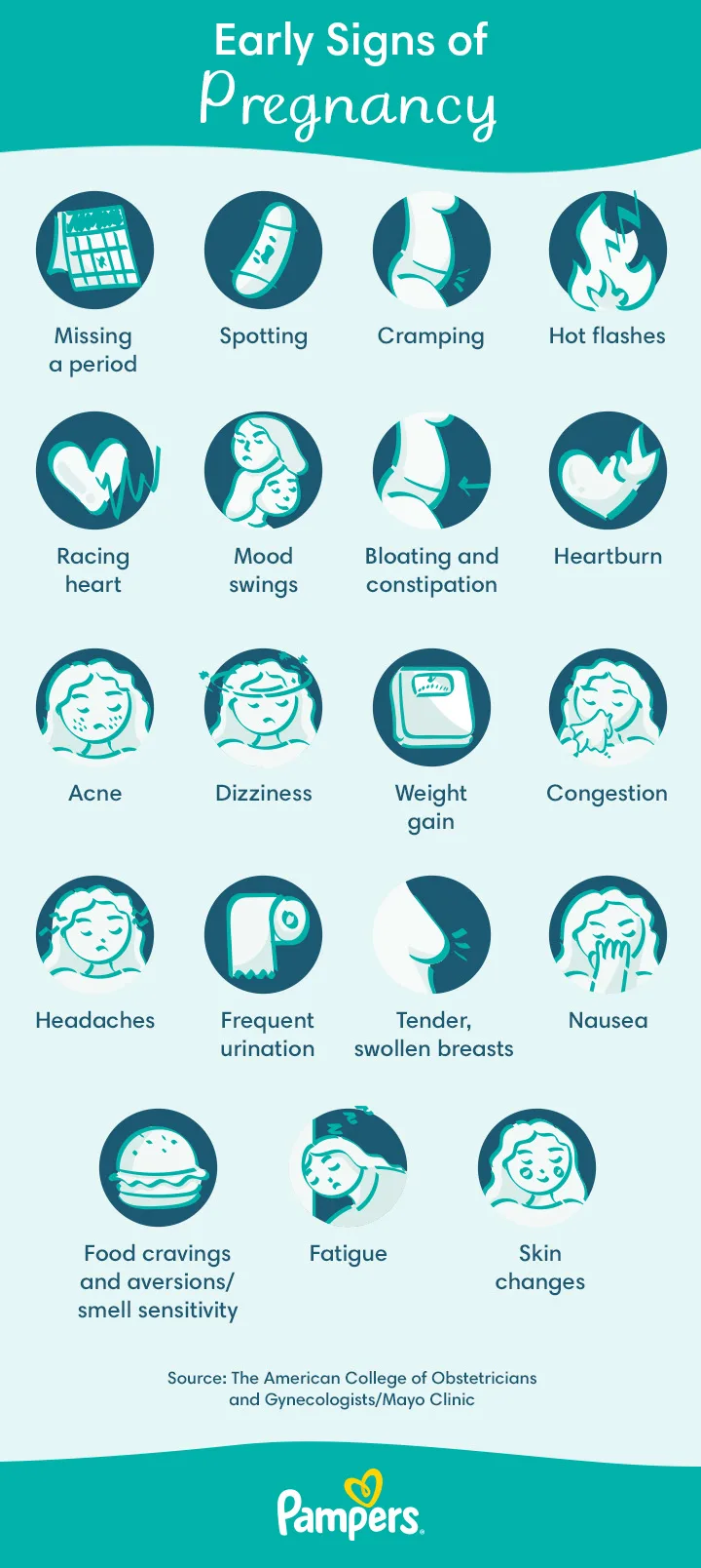 Pregnancy Signs and Symptoms - Pregnancy Support