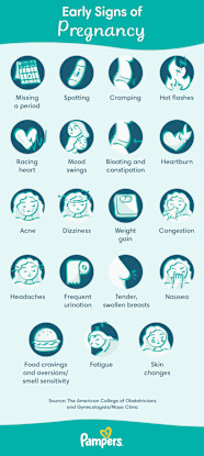 Pregnancy Symptoms Chart