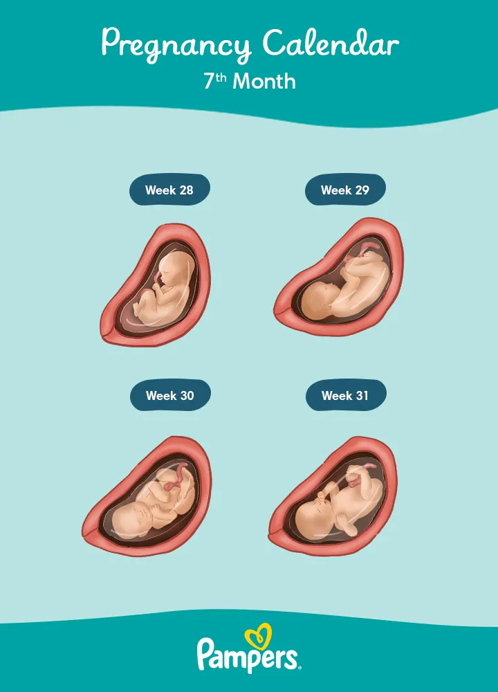 Babies Feet Top Tips - Perfect Balance Clinic Pregnancy